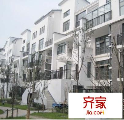 東方曼哈頓外景圖 