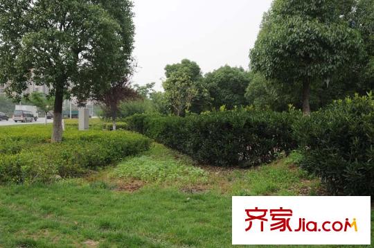凡高公寓花園