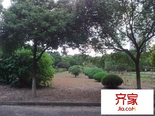 大上海小臺(tái)北外景圖 