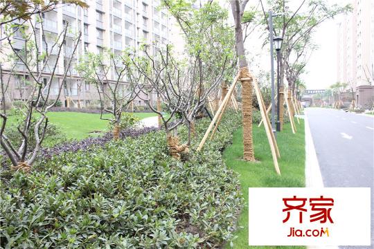 森隆?滿園小區(qū)（2015.10.29）