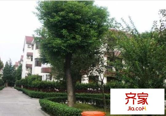 寶島別墅外景圖（一期） 