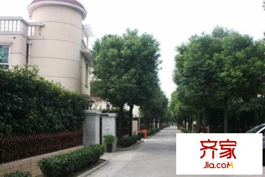 寶島別墅外景圖（一期） 
