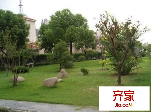 寶島別墅外景圖（一期） 