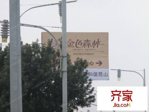金色森林別墅外景圖 