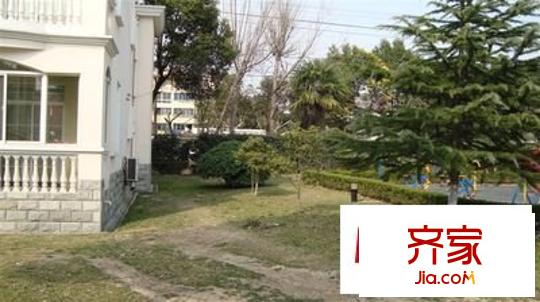 郁金香花園外景圖 