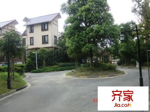 大唐奧斯汀外景圖 