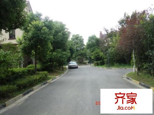 大唐奧斯汀外景圖 