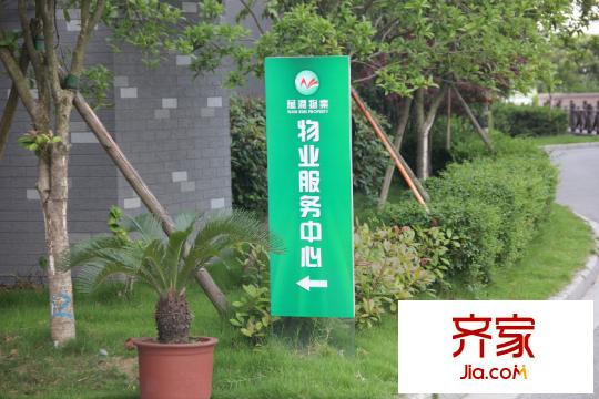 假日半島實景圖