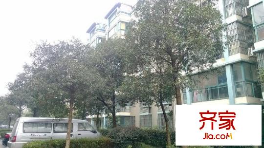 江南春堤一期外景圖江南春堤 