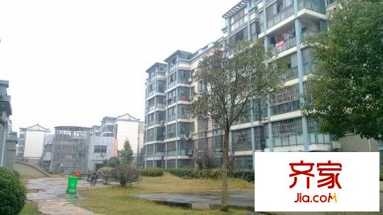 江南春堤一期外景圖江南春堤 