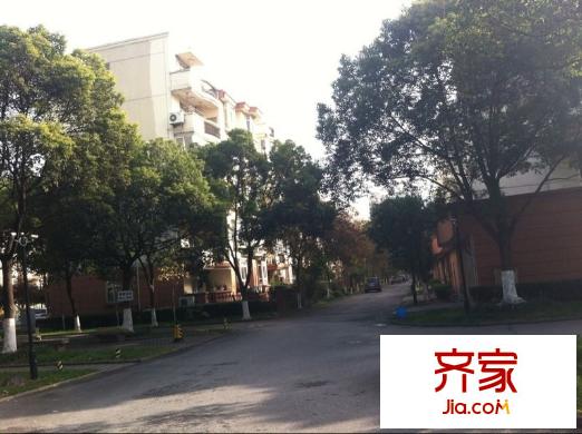黎明清境外景圖 