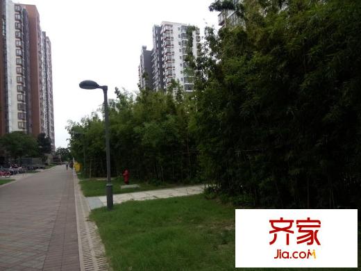 金谷園外景圖 