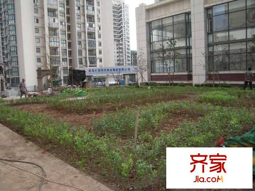 香緹樹外景圖小區(qū)實(shí)景圖（20110901）