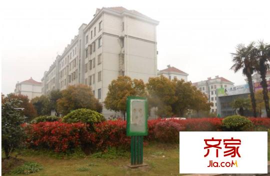 江南春堤牡丹苑外景圖昆山  