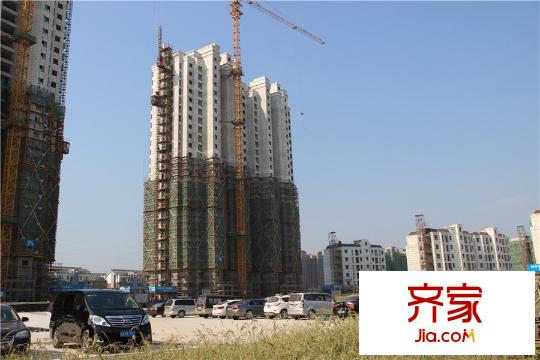 碧悅灣（2015.8.7）