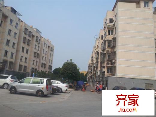 共青小區(qū)外景圖 