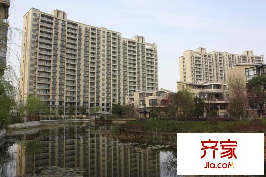 金色森林小區(qū)實(shí)景（2012.04）