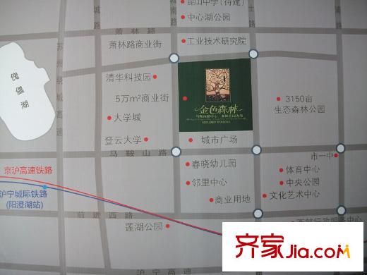金色森林交通圖