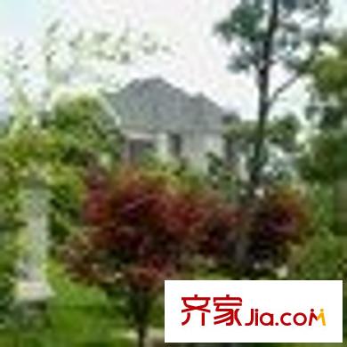 澳宇花園配套圖 周邊配套