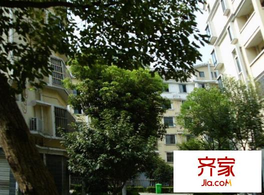 大唐花苑外景圖 