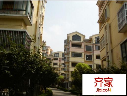大唐花苑外景圖 
