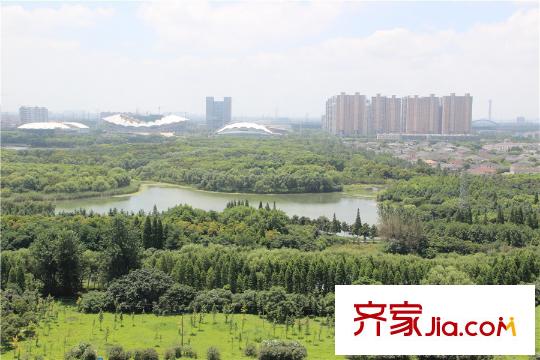 凱迪城配套圖森林公園