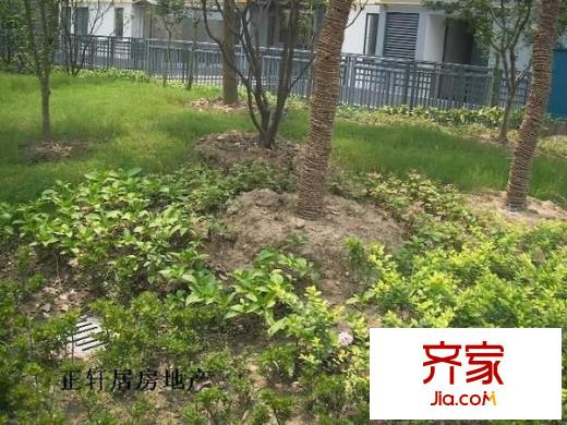 天地華城外景圖 