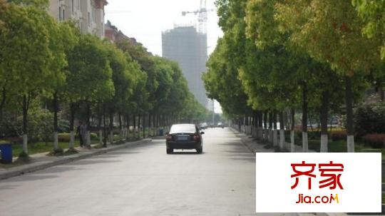 晨曦（南北）園外景圖晨曦園 
