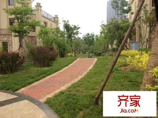 唐島金灣外景圖 