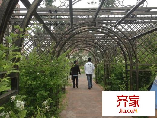 唐島金灣外景圖 