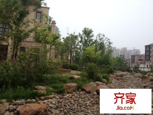 唐島金灣