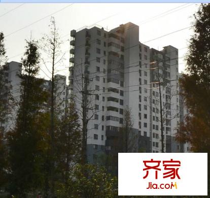 森林半島外景圖 