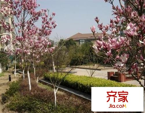 昆山花園外景圖 