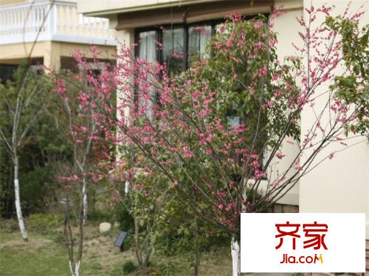 耀江淀湖桃源（2012.04）