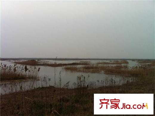 耀江淀湖桃源生態(tài)濕地（2011.04）