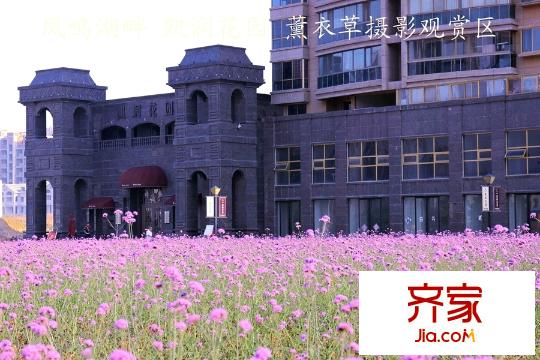 凱潤花園（2015.6）