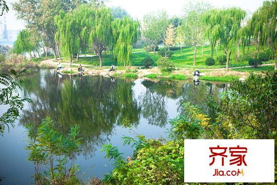 陽(yáng)光香蜜湖之中心湖香蜜湖（2015-11-19）
