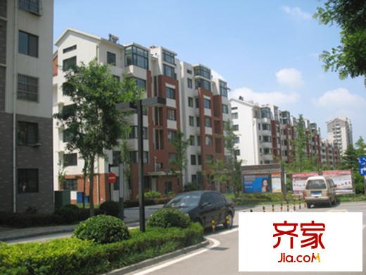 金秋小區(qū)外景圖 