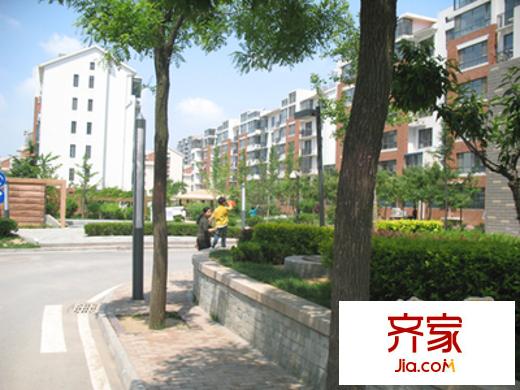 金秋小區(qū)外景圖 