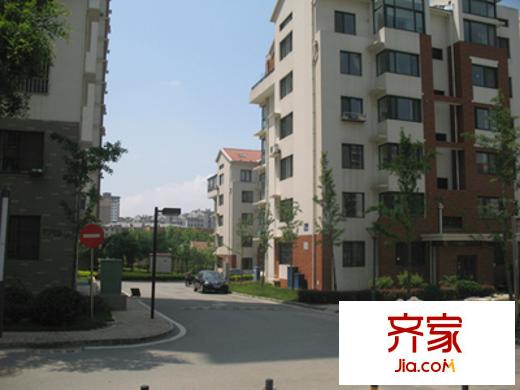 金秋小區(qū)外景圖 