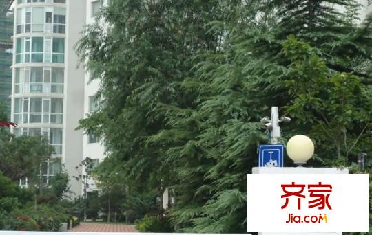 嶗山國際花園外景圖