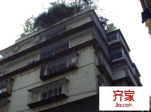 樂園小區(qū)外景圖 