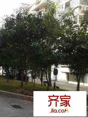 福江苑對(duì)面部隊(duì)宿舍外景圖 