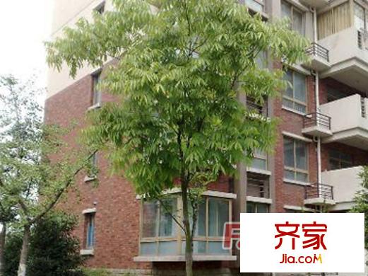 山水公寓外景圖 