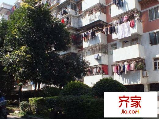 天馬新村外景圖 