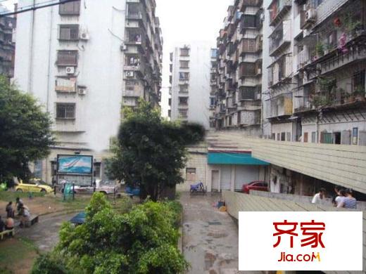 紫陽新園外景圖 