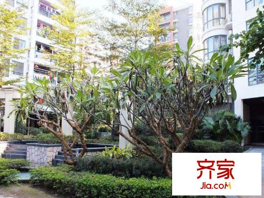 金輝萊茵城外景圖 