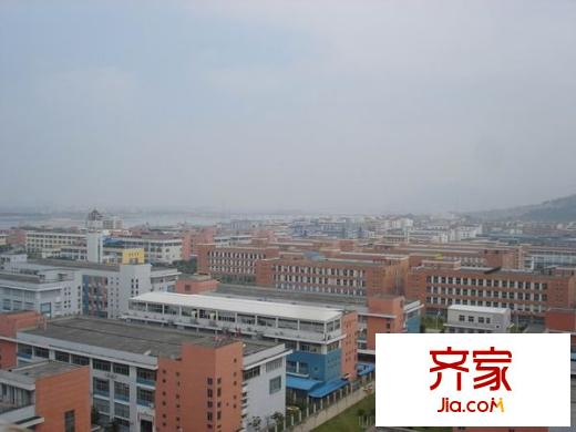 金山桔園一期鑫苑外景圖 
