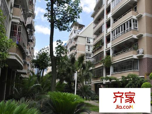 君臨東城外景圖 