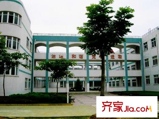 聯(lián)投半島周邊三角湖小學(xué)
